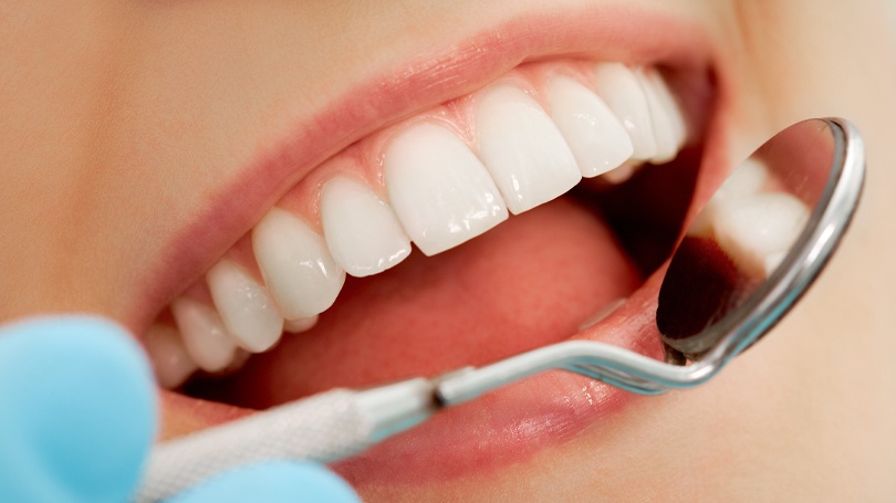 The teeth in your mouth are a hard tissue made up of cementum, dentin, enamel, and pulp.